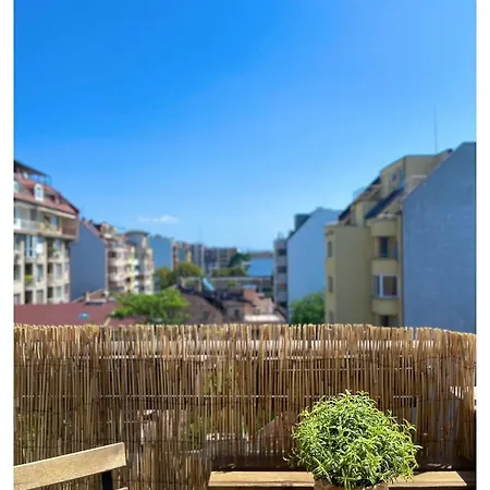 Very Cozy And Sunny Place